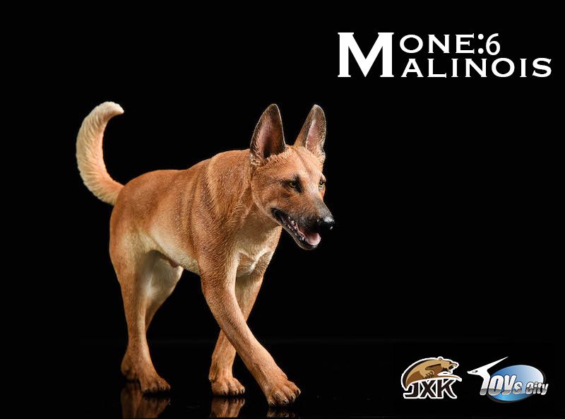 animal - NEW PRODUCT: JXK New: 1/6 Bago - Frank & Malinois  18472711