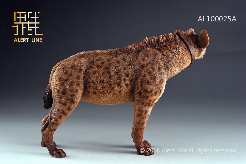 dog - NEW PRODUCT: Alert Line line play model: 1/6 (Hyena) class dog / Crocuta Crocuta-2 color (AL100025A & B) 19234710