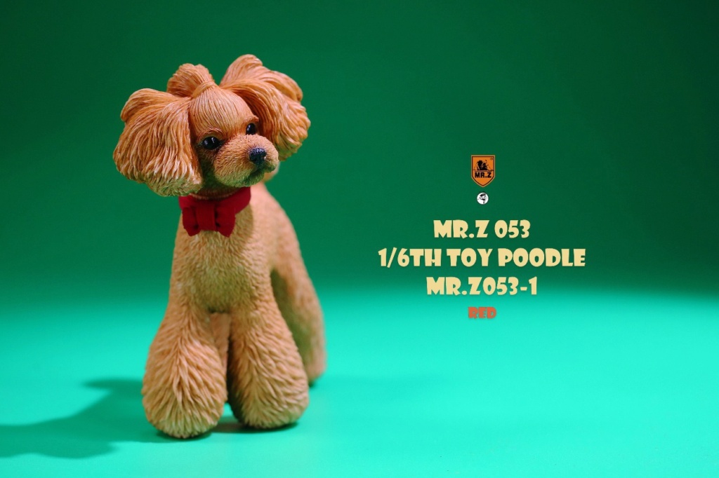 Dog - NEW PRODUCT: Mr. Z: 1/6 Simulation Animal Model No. 53-Toy Poodle (Teddy) Three-headed Carving Configuration 1a5c7410