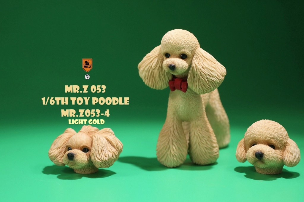 Dog - NEW PRODUCT: Mr. Z: 1/6 Simulation Animal Model No. 53-Toy Poodle (Teddy) Three-headed Carving Configuration 1e228e10