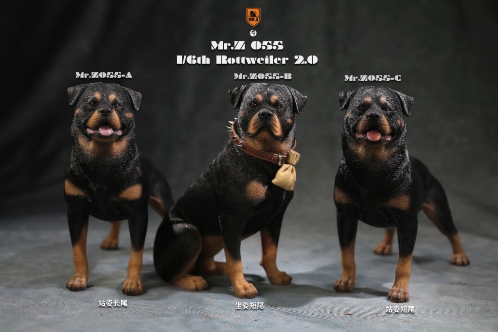 animal - NEW PRODUCT: Mr. Z: 1/6 Imitation Animal No. 54-Rottweiler/Rottweiler (ABC Three) 20200410