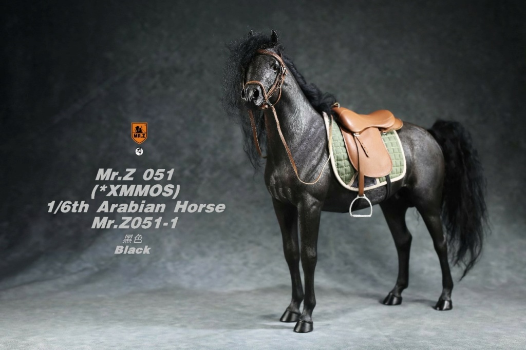 Accessory - NEW PRODUCT: Mr. Z: 1/6 Imitation Animal No. 51-Arabian Horse-Full set of 5 colors 20314811