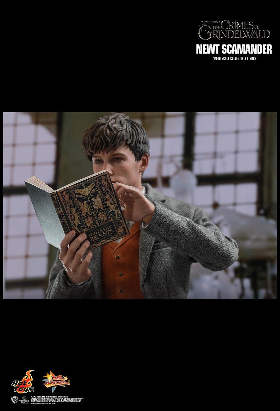 NewtScamander - NEW PRODUCT: HOT TOYS: FANTASTIC BEASTS: THE CRIMES OF GRINDELWALD NEWT SCAMANDER 1/6TH SCALE COLLECTIBLE FIGURE 2036