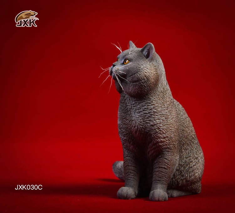 ragdoll - NEW PRODUCT: JXK: 1/6 Ragdoll Cat & British Shorthair Cat 212c3810