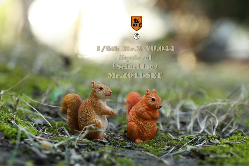 Squirrel - NEW PRODUCT: MR.Z: 1/6 Simulated Animal Model No. 44-"Golden Rat Welcome Spring" Little Squirrel Set (A / B Set) 22185911
