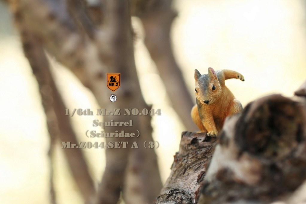 animal - NEW PRODUCT: MR.Z: 1/6 Simulated Animal Model No. 44-"Golden Rat Welcome Spring" Little Squirrel Set (A / B Set) 22252610