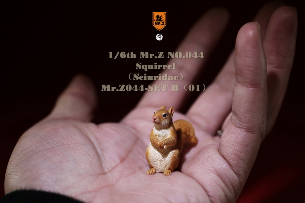 animal - NEW PRODUCT: MR.Z: 1/6 Simulated Animal Model No. 44-"Golden Rat Welcome Spring" Little Squirrel Set (A / B Set) 22261610