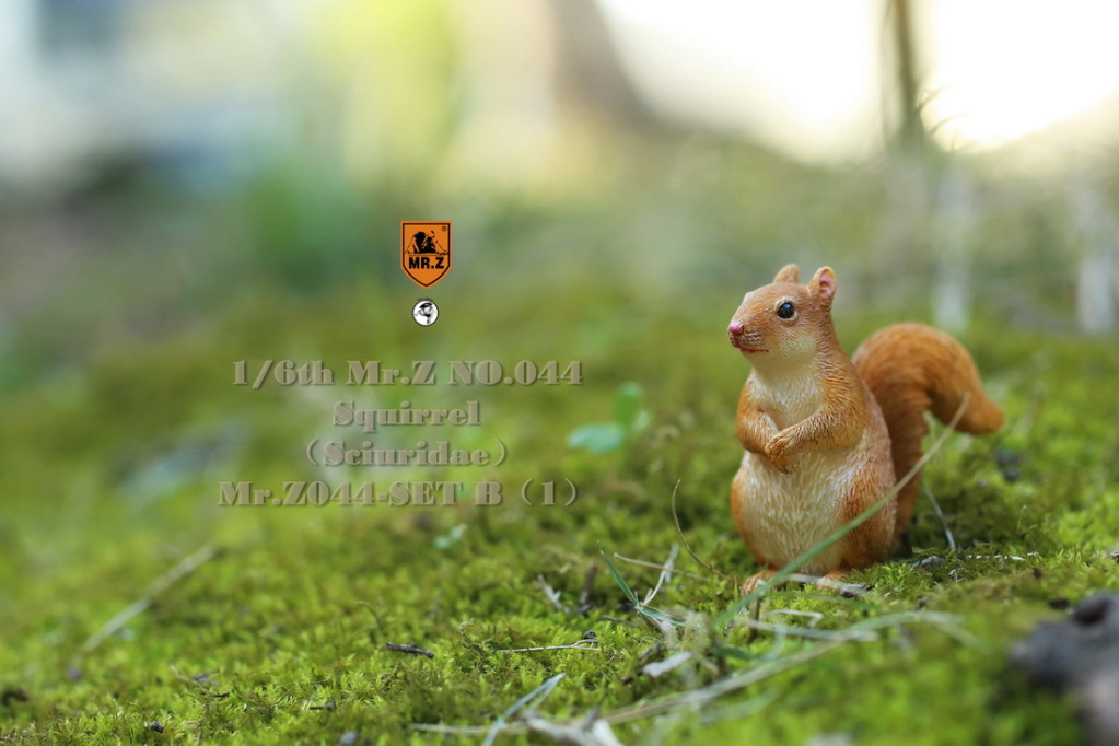 animal - NEW PRODUCT: MR.Z: 1/6 Simulated Animal Model No. 44-"Golden Rat Welcome Spring" Little Squirrel Set (A / B Set) 22261910