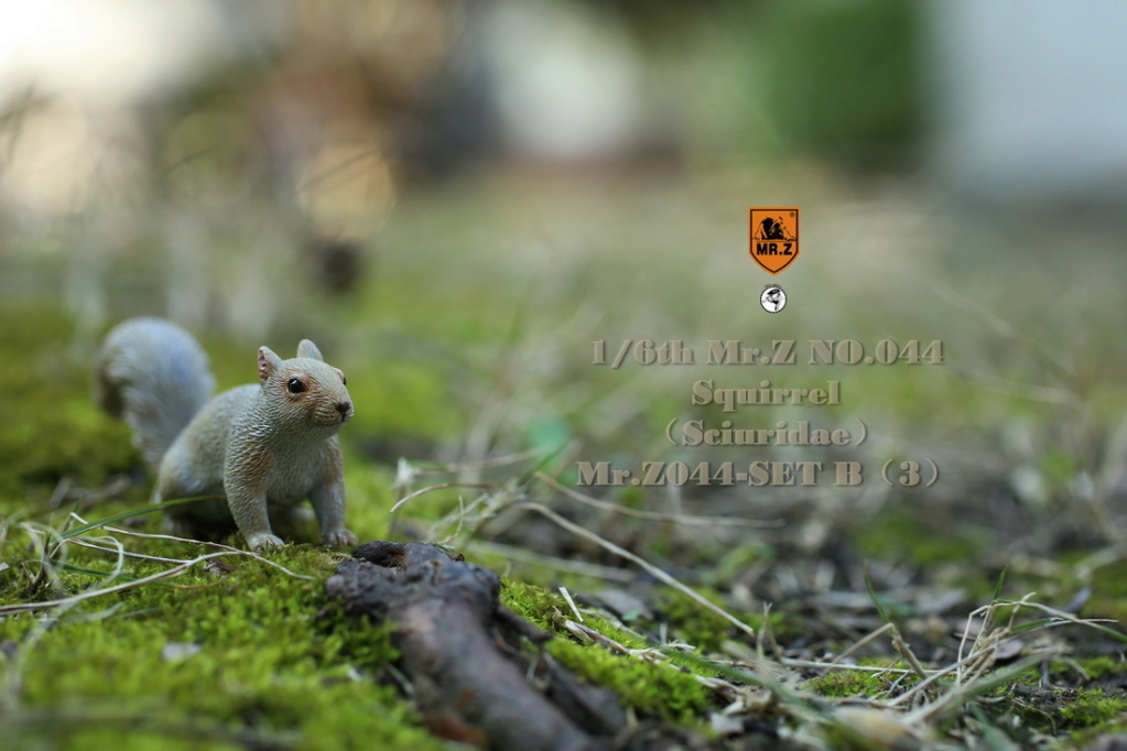 Squirrel - NEW PRODUCT: MR.Z: 1/6 Simulated Animal Model No. 44-"Golden Rat Welcome Spring" Little Squirrel Set (A / B Set) 22280410