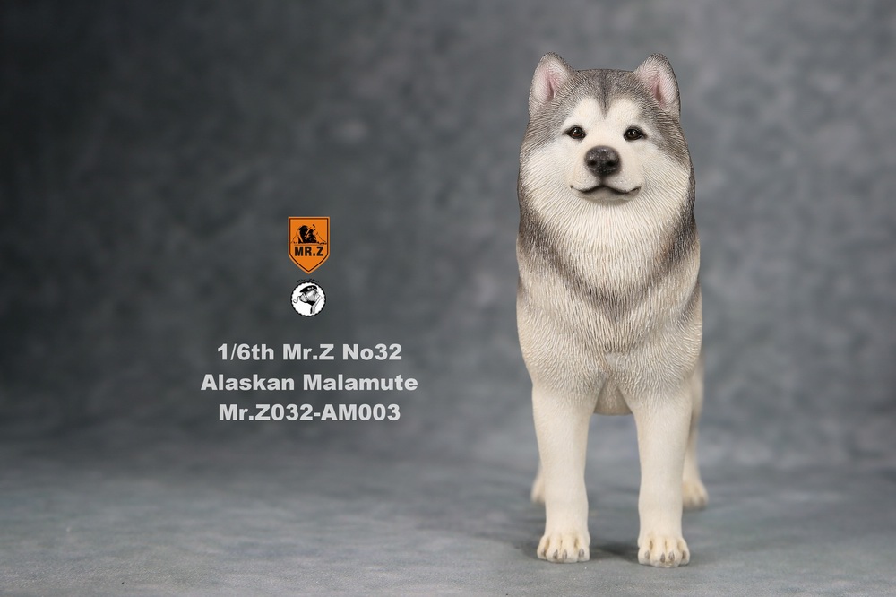 Topics tagged under alaskanmalamute on OneSixthFigures 2232