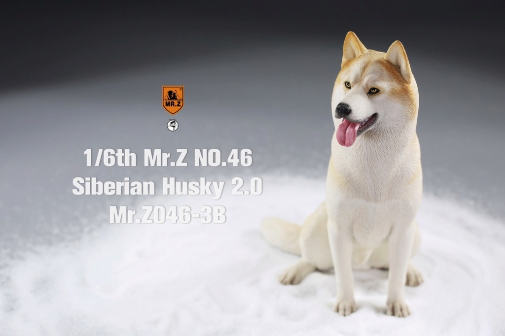 NEW PRODUCT: Mr.Z: 1/6 simulation animal model 46th-Siberian Husky version 2.0 all 8 colors 22374310