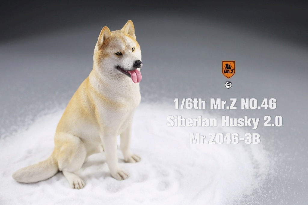 Dog - NEW PRODUCT: Mr.Z: 1/6 simulation animal model 46th-Siberian Husky version 2.0 all 8 colors 22374311