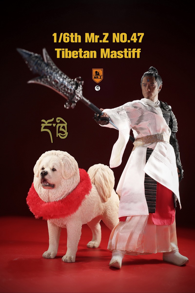 dog - NEW PRODUCT: MR. Z: 1/6 simulation animal model 47th-Tibetan Mastiff (all 6 colors) 23080410