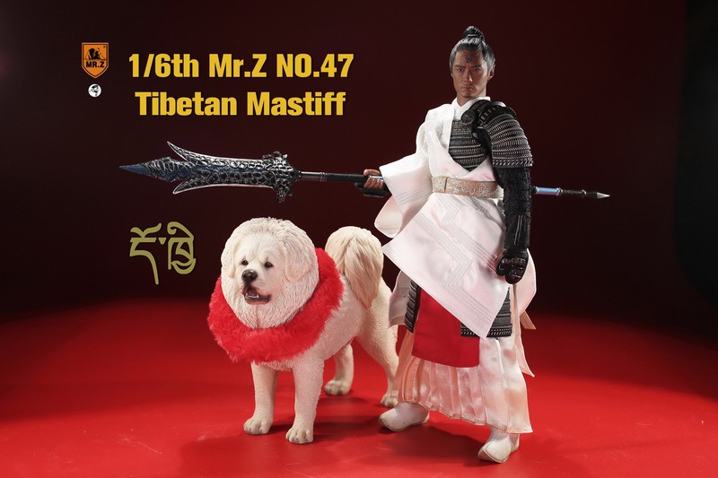 TibetanMastiff - NEW PRODUCT: MR. Z: 1/6 simulation animal model 47th-Tibetan Mastiff (all 6 colors) 23080411