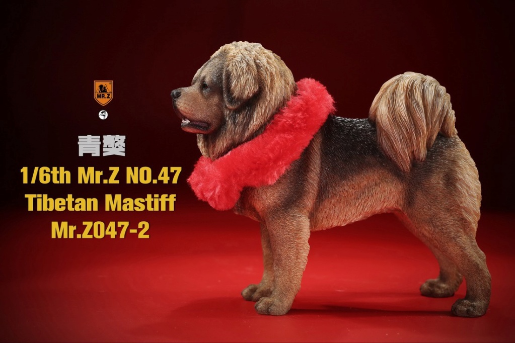 TibetanMastiff - NEW PRODUCT: MR. Z: 1/6 simulation animal model 47th-Tibetan Mastiff (all 6 colors) 23120811