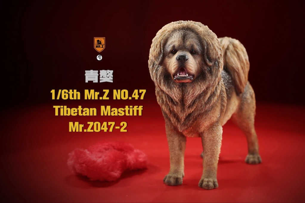 Topics tagged under tibetanmastiff on OneSixthFigures 23121011