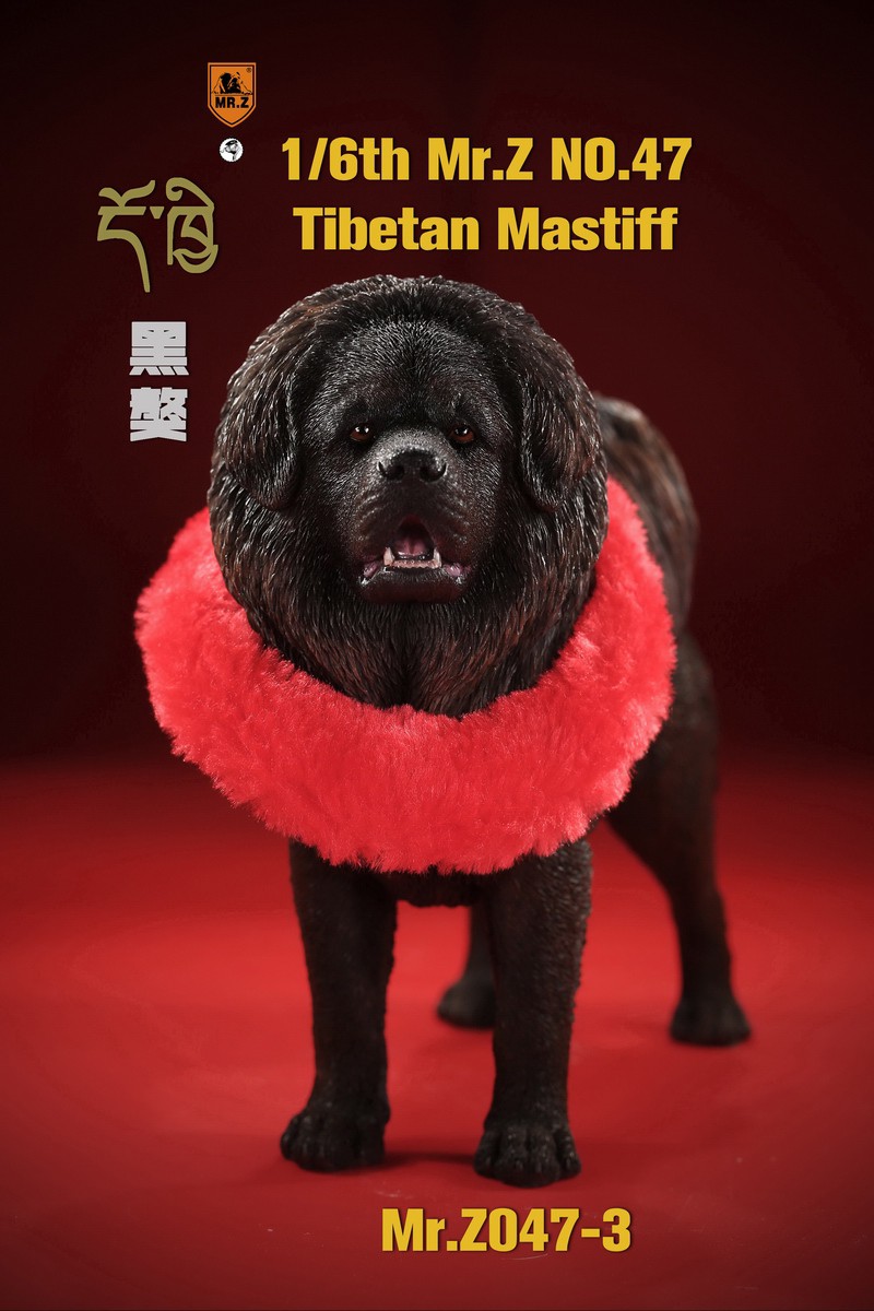 dog - NEW PRODUCT: MR. Z: 1/6 simulation animal model 47th-Tibetan Mastiff (all 6 colors) 23123810