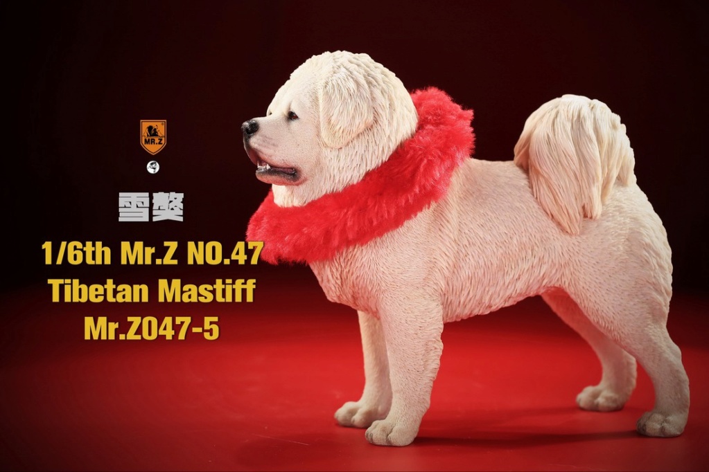 NEW PRODUCT: MR. Z: 1/6 simulation animal model 47th-Tibetan Mastiff (all 6 colors) 23134611