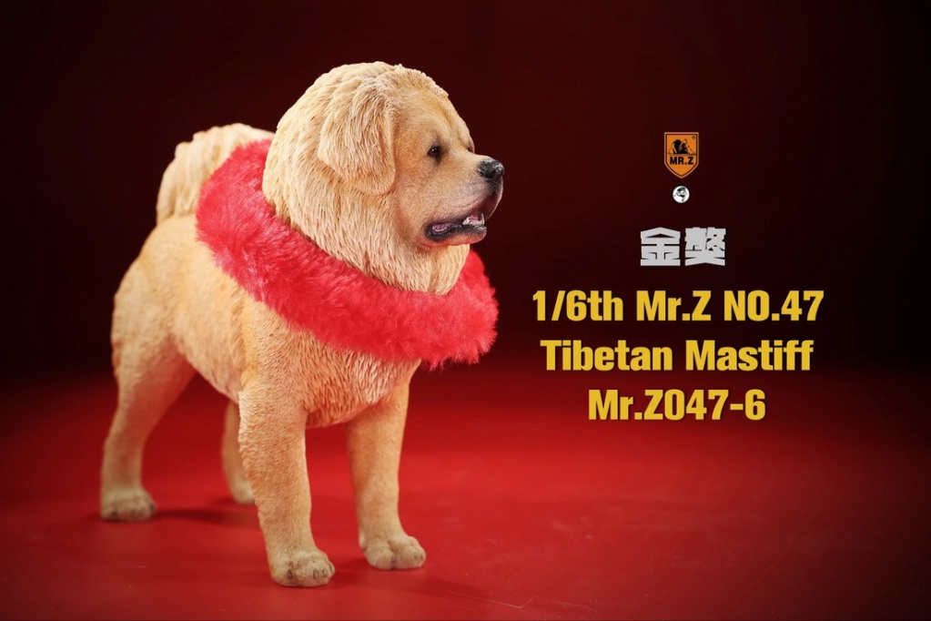 NEW PRODUCT: MR. Z: 1/6 simulation animal model 47th-Tibetan Mastiff (all 6 colors) 23141610