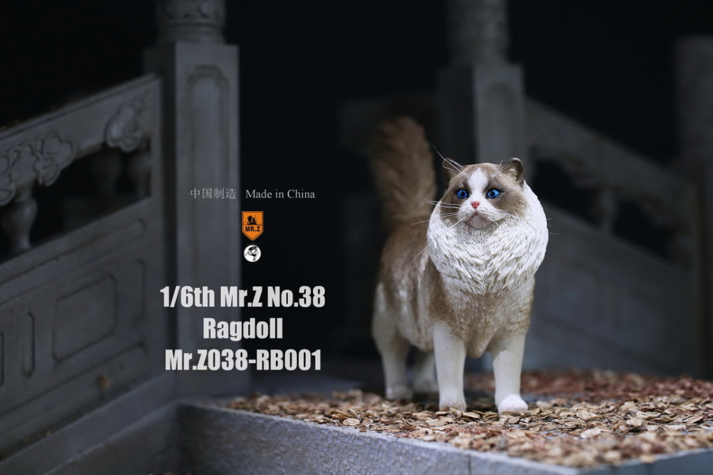 RagdollCat - NEW PRODUCT: Mr.Z: 1/6 Simulation Animals 38th - Ragdoll Cat [Planting Edition] - Full set of 5 colors 23460710