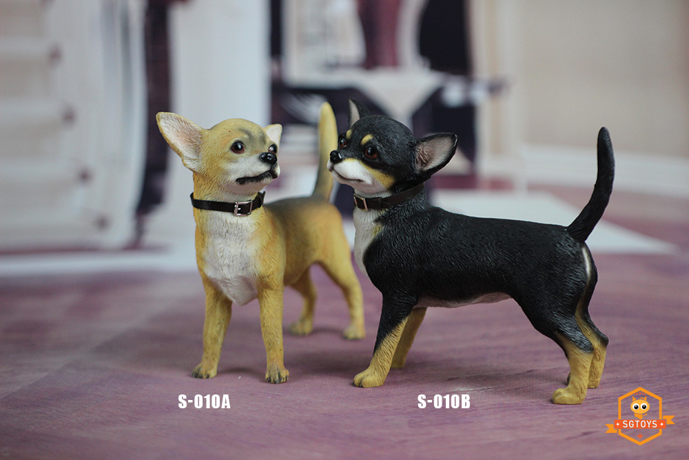 Rottweiller - NEW PRODUCT: SGTOYS: 1/6 Simulation Animals - Chihuahua & Rottweiler & Springer Spaniel 23531310