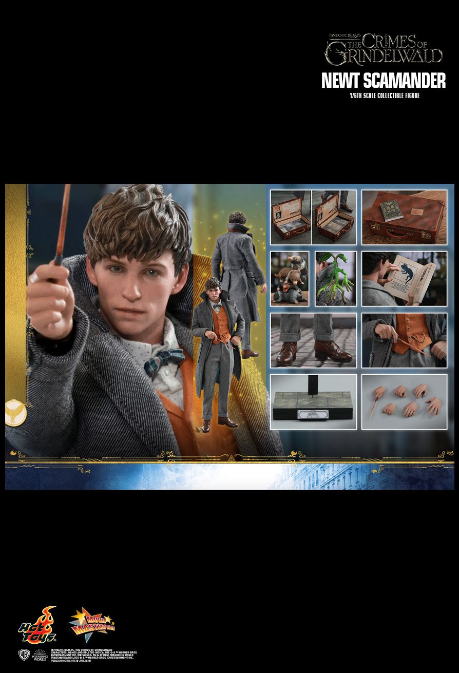 NEW PRODUCT: HOT TOYS: FANTASTIC BEASTS: THE CRIMES OF GRINDELWALD NEWT SCAMANDER 1/6TH SCALE COLLECTIBLE FIGURE 2625