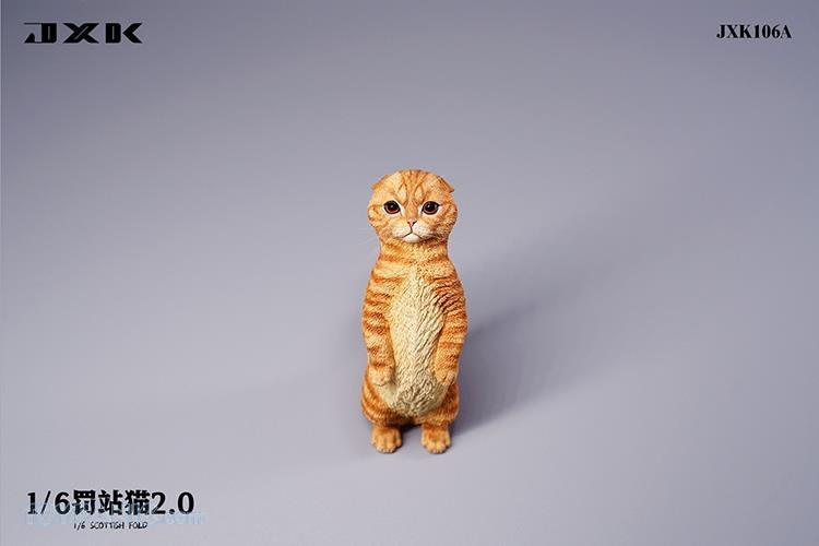 feline - NEW PRODUCT: JXK Studio: 1/6 Scottish Fold 2.0 Cat (4 color options) 2988