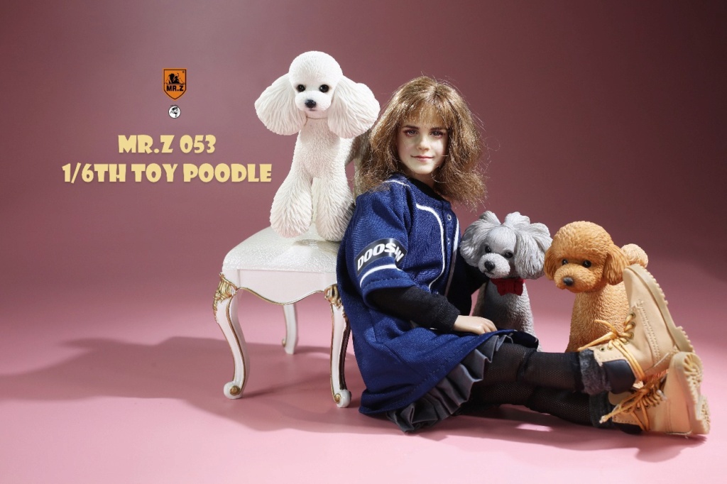 NEW PRODUCT: Mr. Z: 1/6 Simulation Animal Model No. 53-Toy Poodle (Teddy) Three-headed Carving Configuration 3298b510