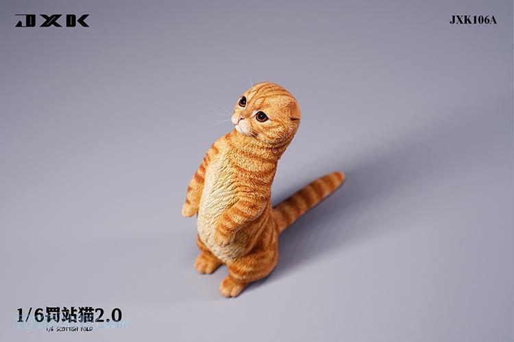 feline - NEW PRODUCT: JXK Studio: 1/6 Scottish Fold 2.0 Cat (4 color options) 3666