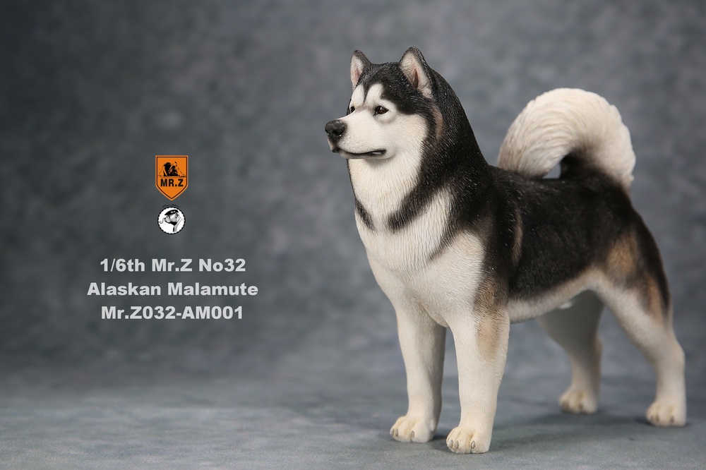 dog - NEW PRODUCT: Mr.Z New: 1/6 Simulation Animals 32nd - Alaskan Malamute - 3 colors 5103