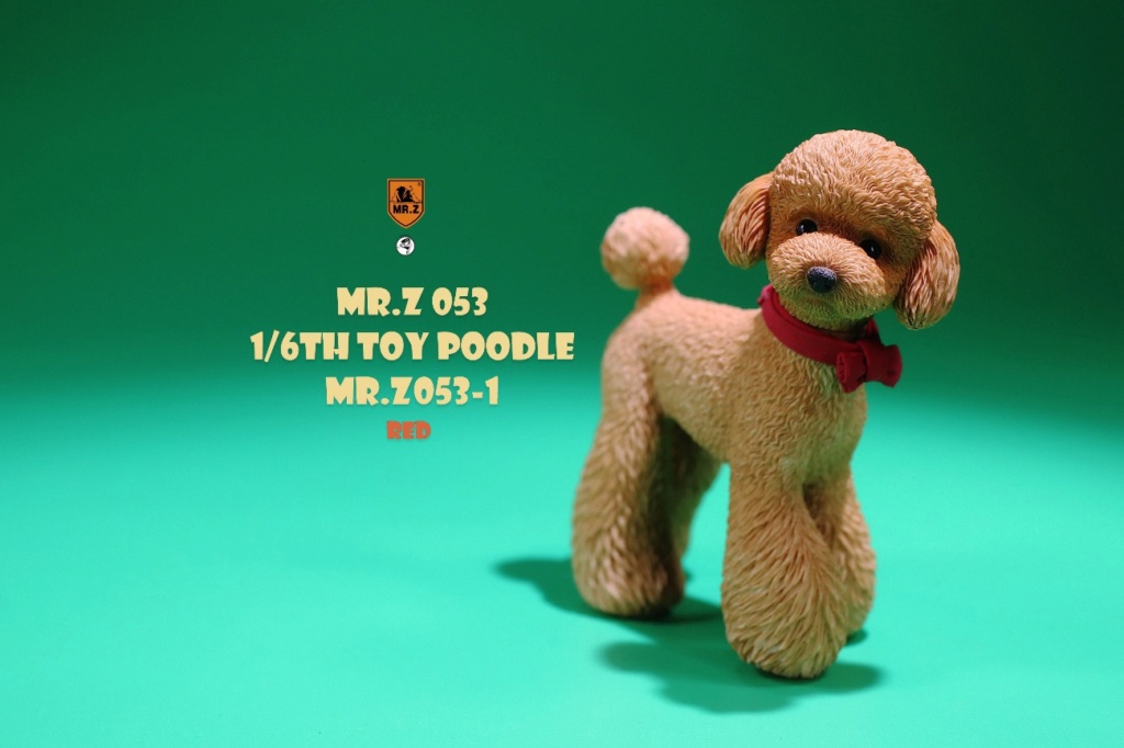 Dog - NEW PRODUCT: Mr. Z: 1/6 Simulation Animal Model No. 53-Toy Poodle (Teddy) Three-headed Carving Configuration 62a3d310