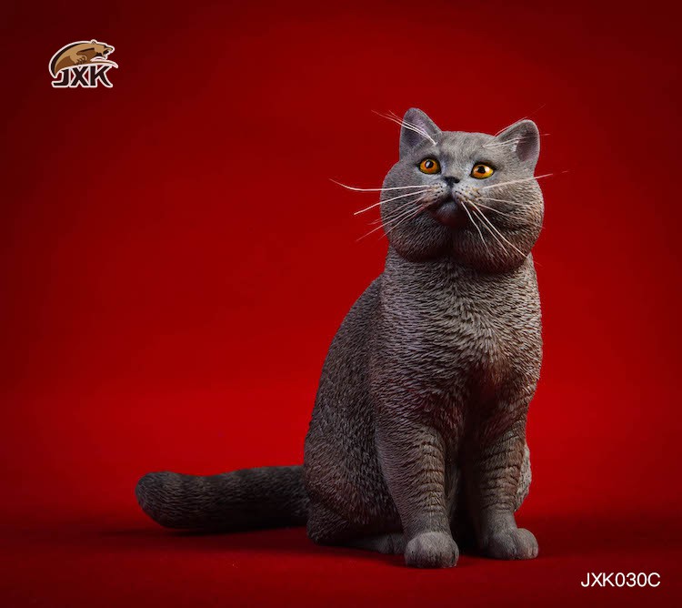 animal - NEW PRODUCT: JXK: 1/6 Ragdoll Cat & British Shorthair Cat 74571510