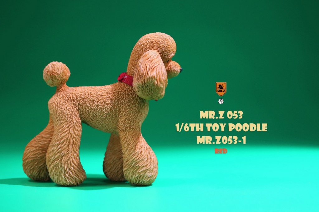 Dog - NEW PRODUCT: Mr. Z: 1/6 Simulation Animal Model No. 53-Toy Poodle (Teddy) Three-headed Carving Configuration 838c0a10