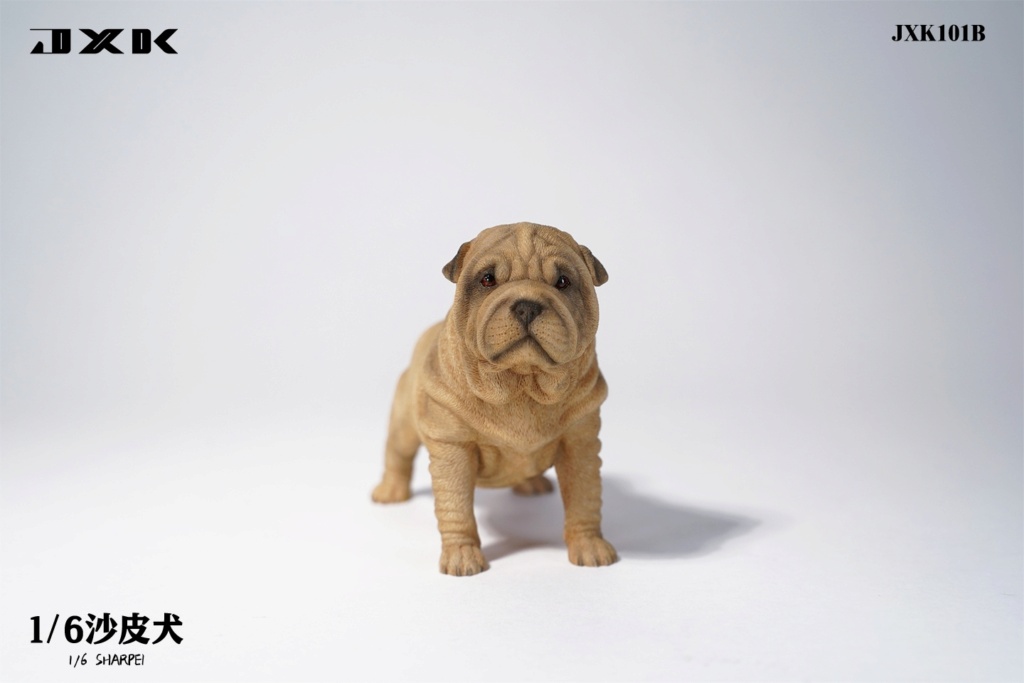 Pomeranian - NEW PRODUCT: JXK Studio: 1/6 Pomeranian, Dalmatian, Shar Pei Animal Model [multi-color optional] (#JXK099, JXK100, JXK101) 956d3810