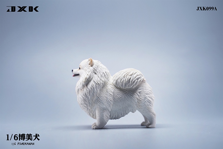 Pomeranian - NEW PRODUCT: JXK Studio: 1/6 Pomeranian, Dalmatian, Shar Pei Animal Model [multi-color optional] (#JXK099, JXK100, JXK101) 9a826e10