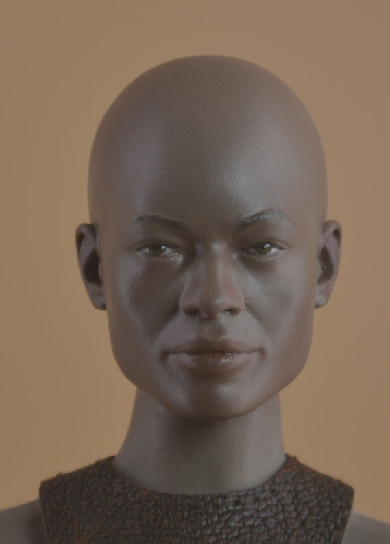 INTEREST: Black Female head sculpt - Page 3 _dsc3682