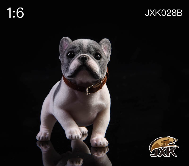 Frenchbulldog - NEW PRODUCT: JXK: 1/6 Tufted French Bulldog JXK028 Dog Pet Animal Static Model Decoration B20e7310
