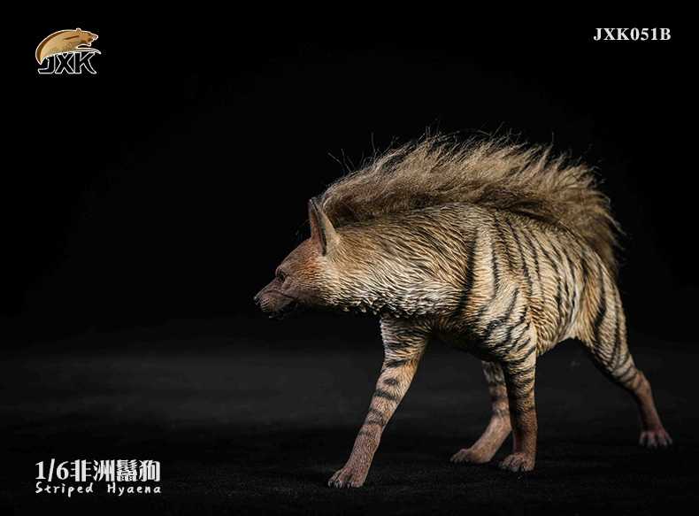 JXK - NEW PRODUCT: JXK: Caucasian Shepherd Dog JXK050 & African Hyena JXK051 Striped Hyena C12