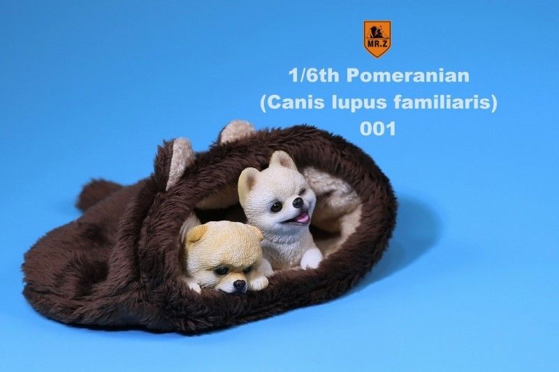 Pomeranian - NEW PRODUCT: MR.Z MRZ020-001-002 1/6 Scale Pomeranian Dog Pet Animal Figure S-l16067