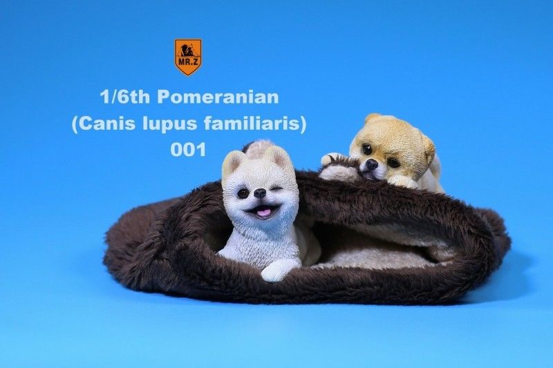 Pomeranian - NEW PRODUCT: MR.Z MRZ020-001-002 1/6 Scale Pomeranian Dog Pet Animal Figure S-l16070