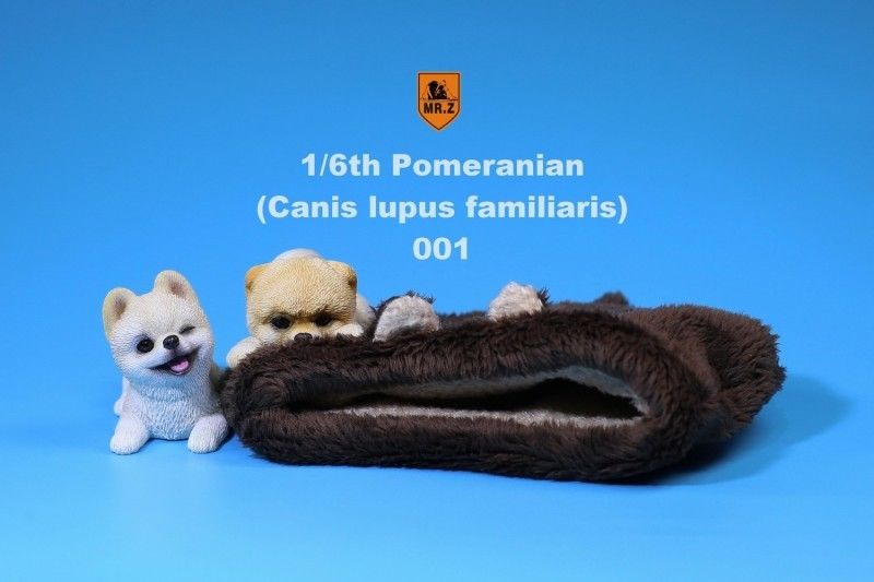 Pomeranian - NEW PRODUCT: MR.Z MRZ020-001-002 1/6 Scale Pomeranian Dog Pet Animal Figure S-l16071