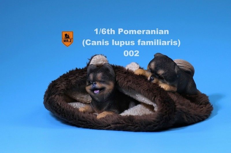 NEW PRODUCT: MR.Z MRZ020-001-002 1/6 Scale Pomeranian Dog Pet Animal Figure S-l16076