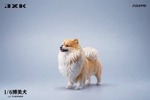 Pomeranian dalmatian 2025