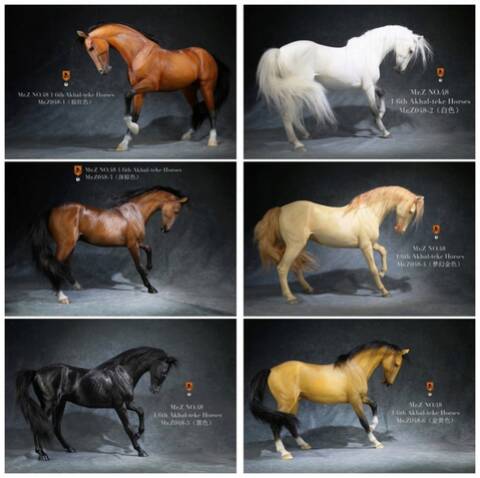 new product mr z 1/6th simulation animal no 48 akhal