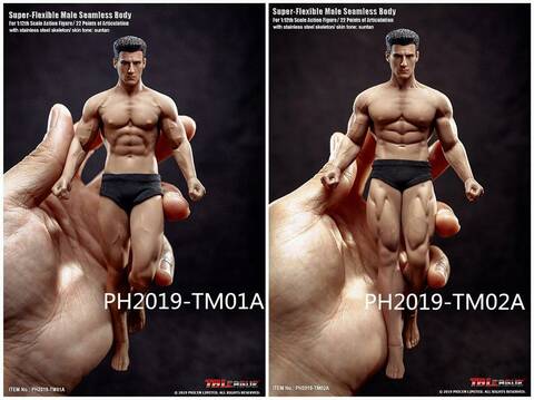 1:6 Phicen Flexible Male Seamles Strong and Handsome Suntan Muscular Body M33 