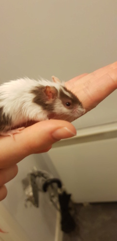 Young girl has lots of scarring and a puffy eye 20190412