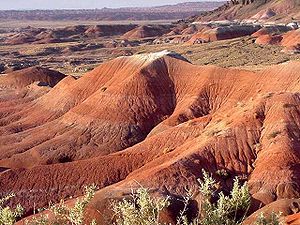 الصحراء الملونة بامريكا 300px-10