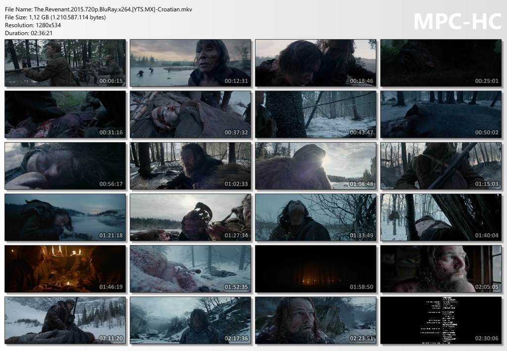 The Revenant (2015) The_re10
