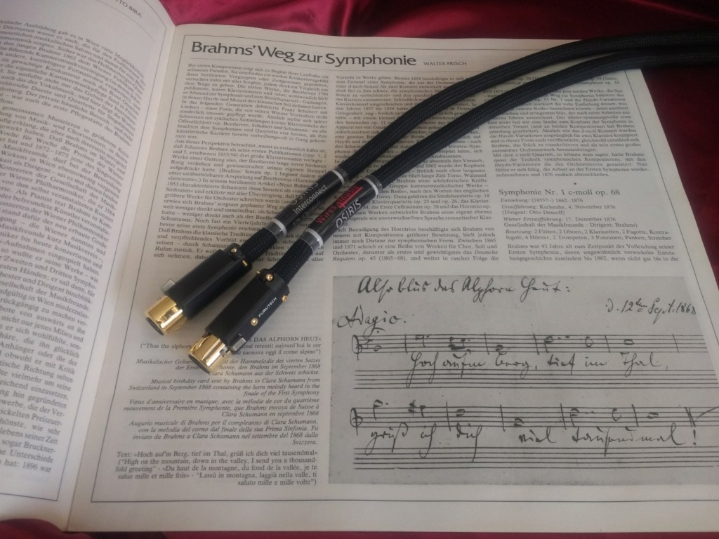 Wires 4 Music - Serie OSIRIS Xlr210