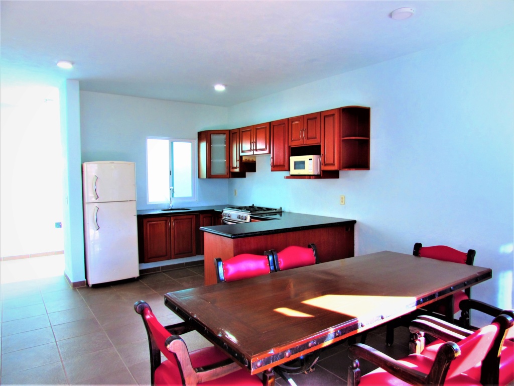 Brand new apartment on San Juan Cosala, pets welcome, semi or fully furnished Img_4111